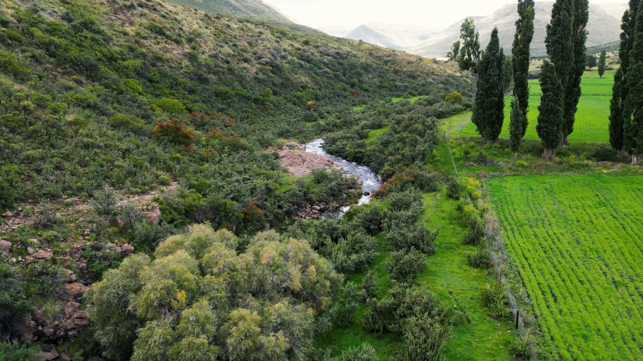 4 Bedroom Property for Sale in Lady Grey Eastern Cape